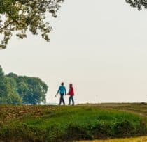 Bedrijfsmaatschappelijk werk
