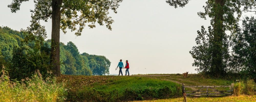 Wandelend in Balans